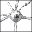 Looking for You This Season