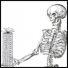 Bare Bones Christmas